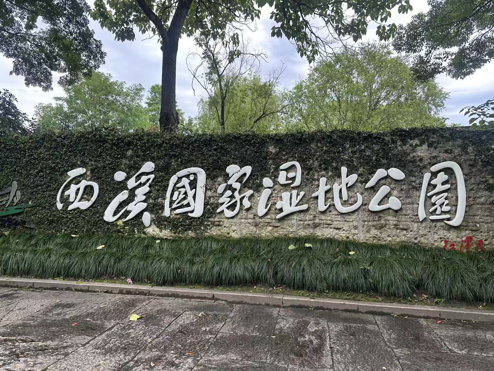 西溪国家湿地公园的石墙与树木